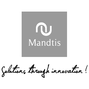 Mandtis, conceiving magnetic fastening systems